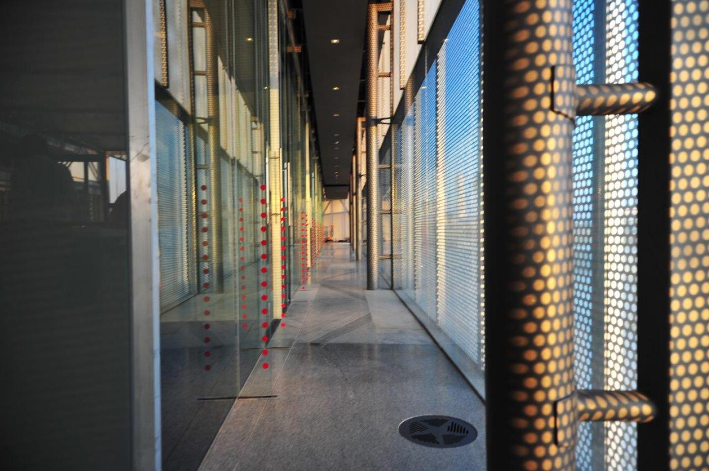 center for discovery nyc