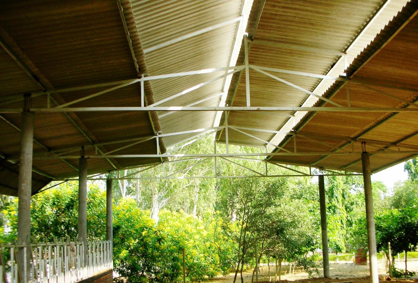 MODERN CATTLE SHEDS, PUNJAB