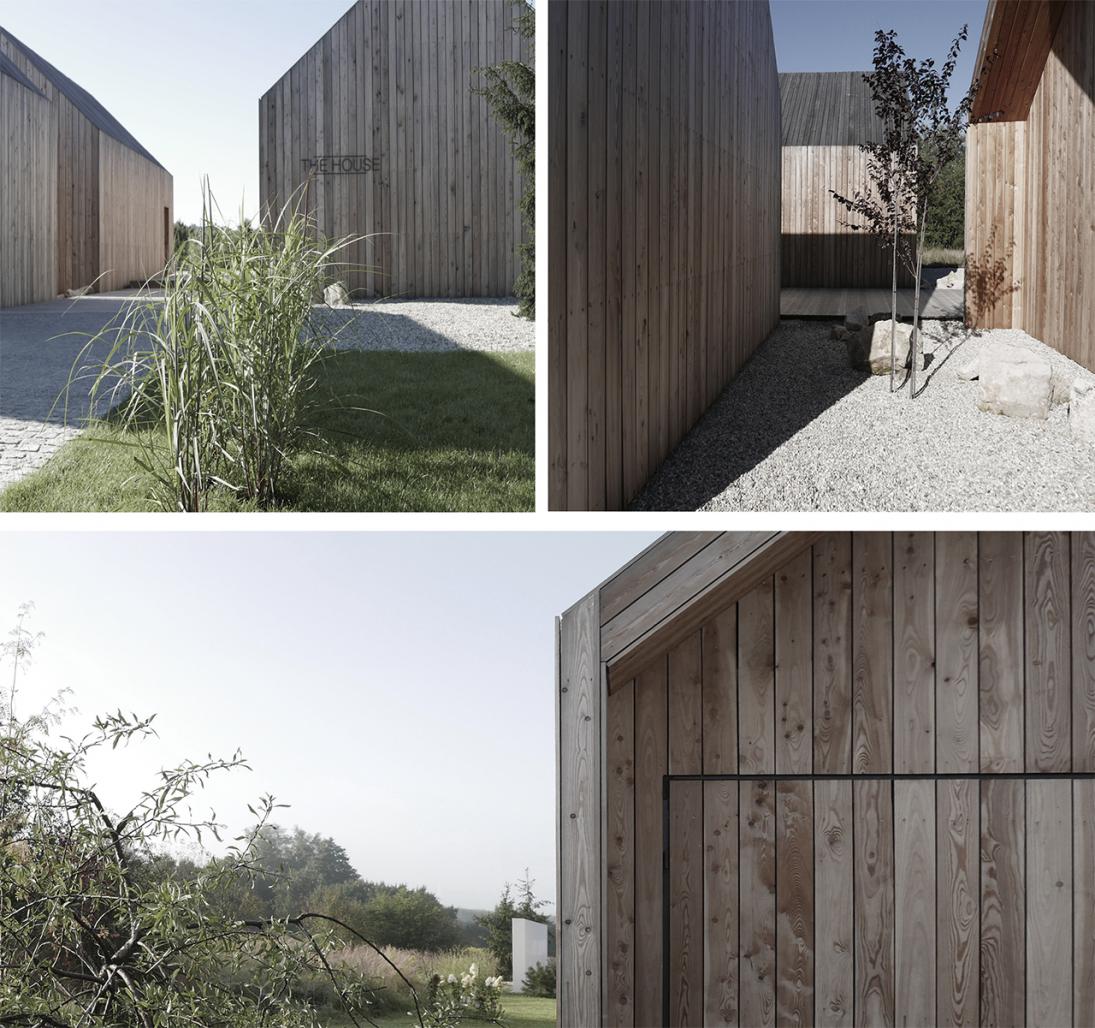 THE HOUSE