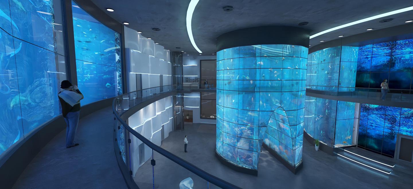 Sharm ElSheikh Aquarium Museum