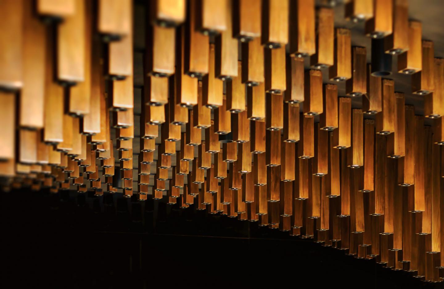 Studio Symbiosis Banner Image